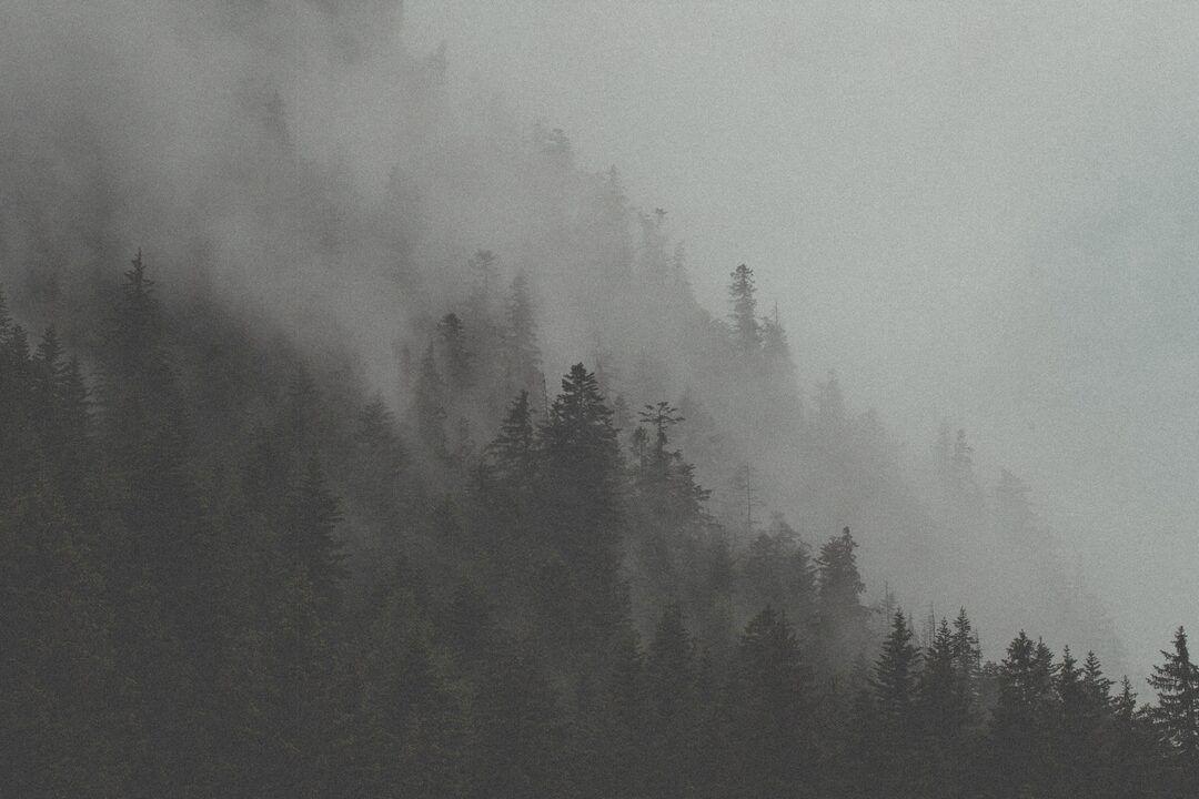 Sumu